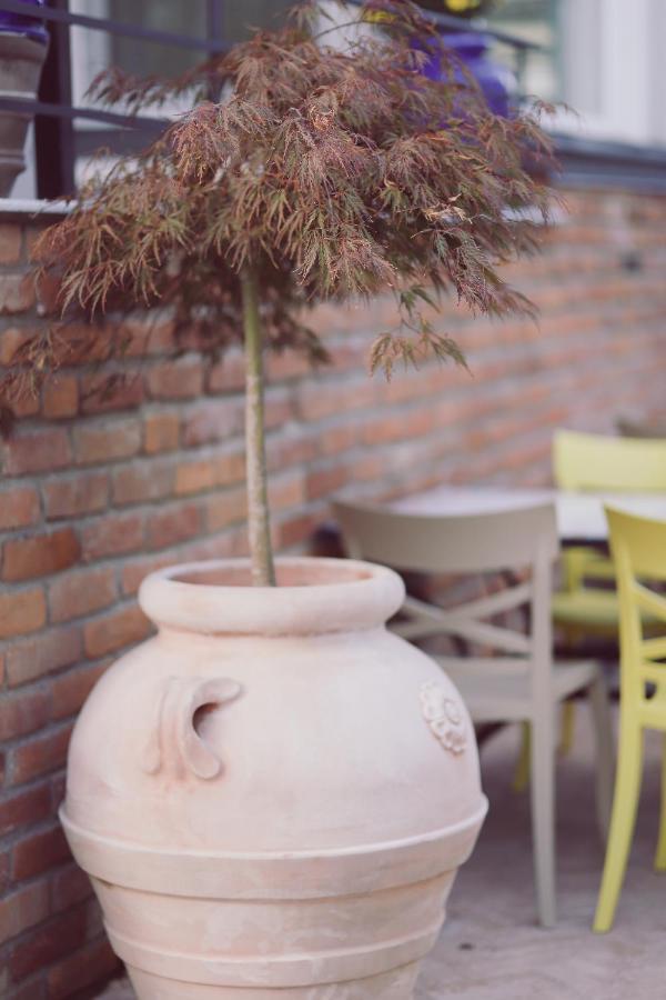 Villa Piazzetta บาเคา ภายนอก รูปภาพ